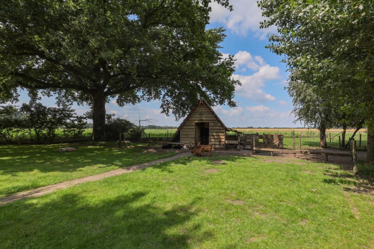 Bed And Breakfast Klein Beek Hilvarenbeek Exteriör bild